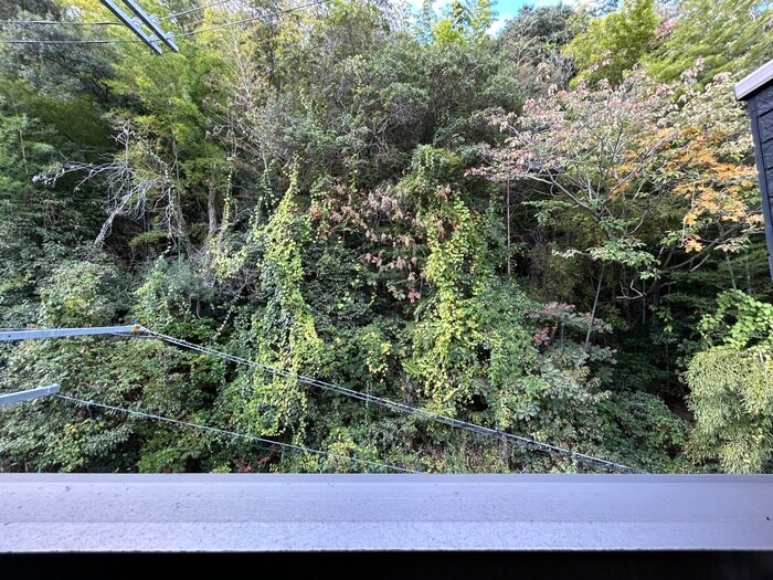 エヌエムサンカンテキャトフE棟の物件内観写真