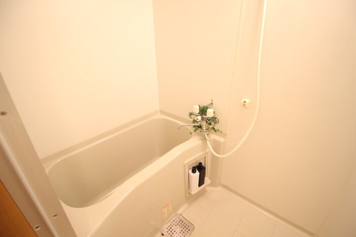 カシオペアの物件内観写真