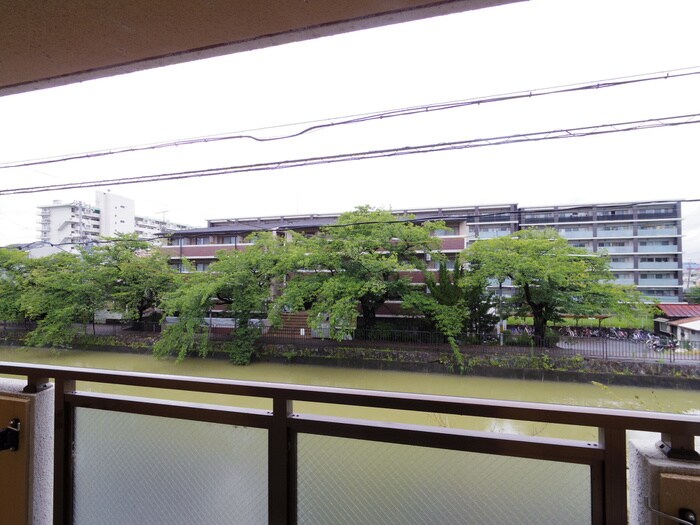 メゾン・チェリ－・イ－ストの物件内観写真