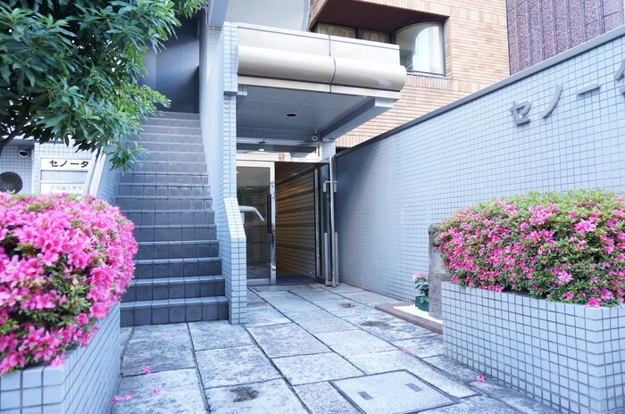 セノ－タの物件外観写真