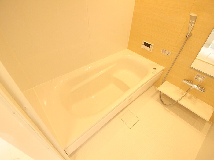 ピアレス綾羽の物件内観写真