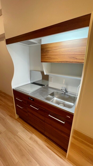 セレニテ堺筋本町リアンの物件内観写真