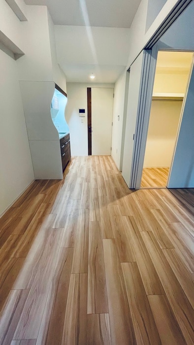 セレニテ堺筋本町リアンの物件内観写真