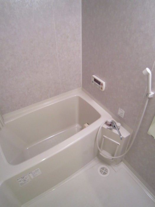 ディスティ桃山の物件内観写真