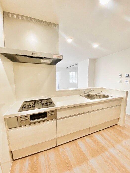 ラ　ヴィータ鳳の物件内観写真