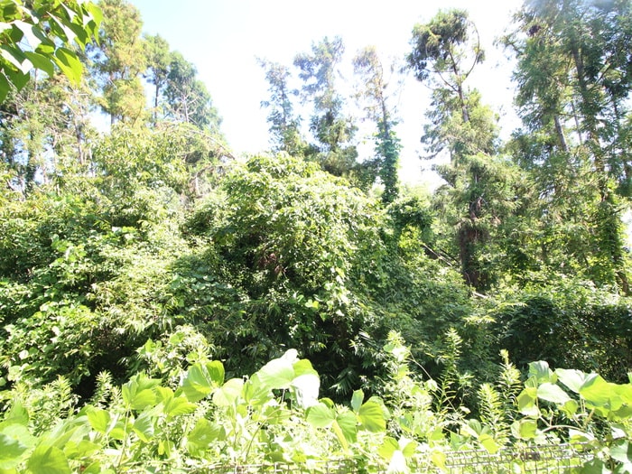 ヴェルドミ－ルⅡの物件内観写真