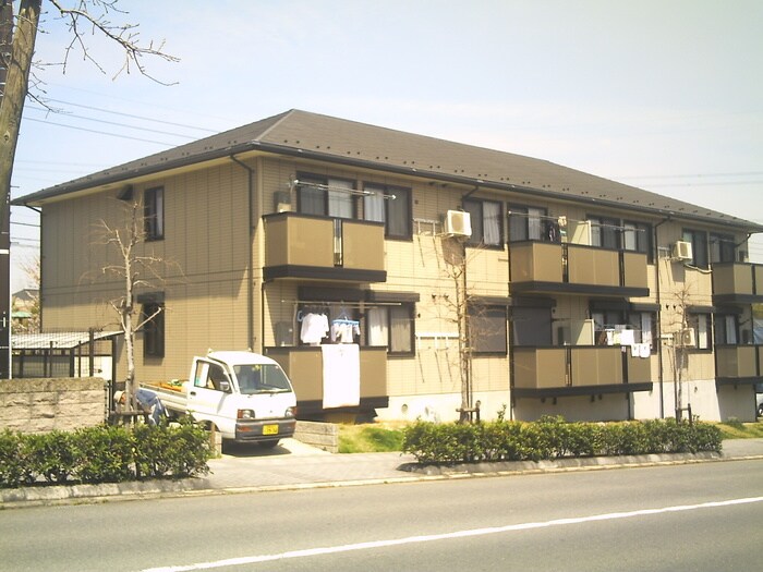 グリ－ンパ－クニレの木の物件外観写真