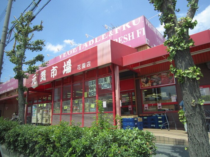 アルシオーネ花園の物件内観写真