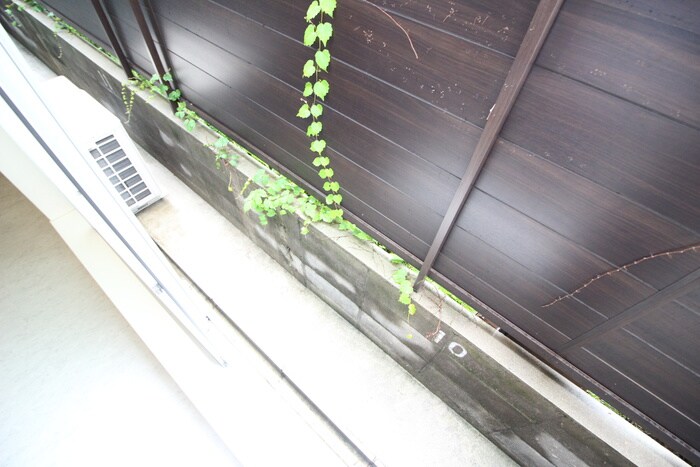 ＯＨＧＩソラノマの物件内観写真