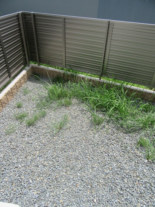 ボヌール津田駅前Ｂ棟の物件内観写真