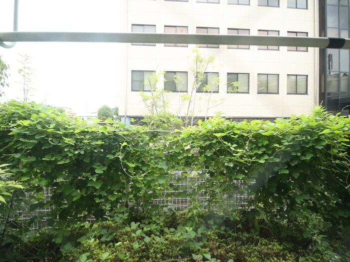 ナヴィ－ル箕面の物件内観写真