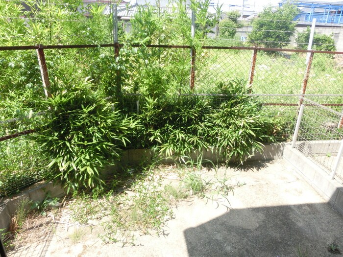 ブエナアビテ－トⅡの物件内観写真