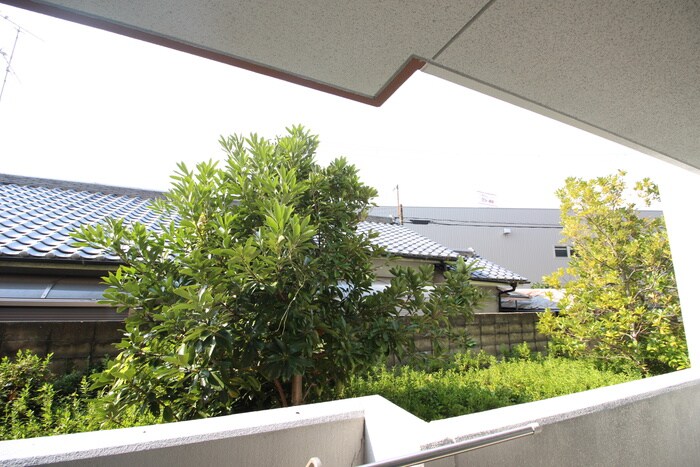 メゾン・ハナミズキ豊中の物件内観写真