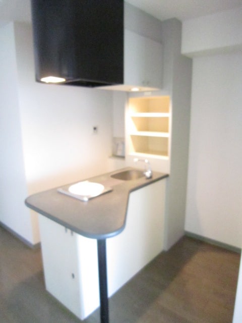 エスリ－ド京都河原町(403)の物件内観写真