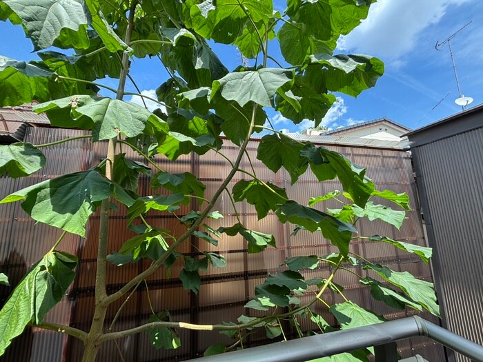 ハイツ西村の物件内観写真