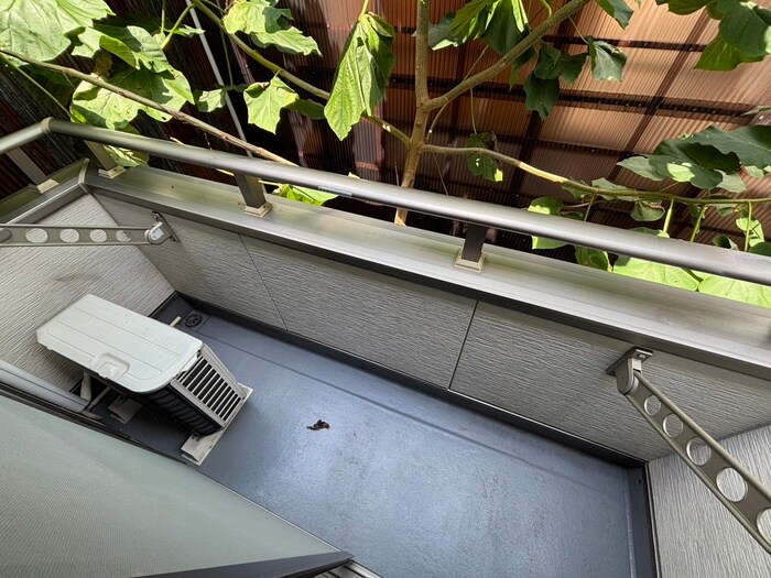 ハイツ西村の物件内観写真