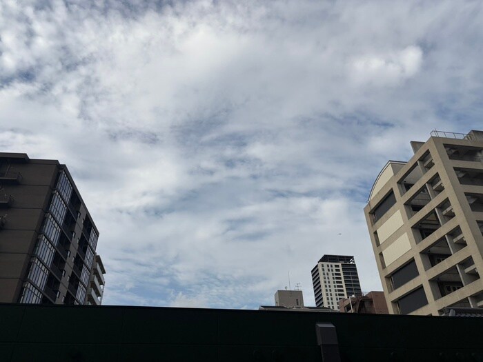 Noire北堀江の物件内観写真