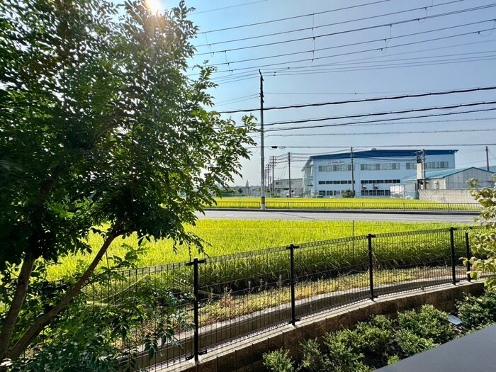 ラ・フェリーチェの物件内観写真