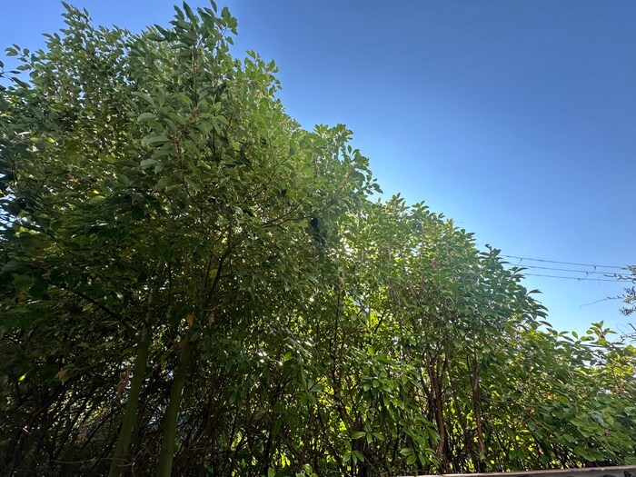 アクシスコート三島丘の物件内観写真