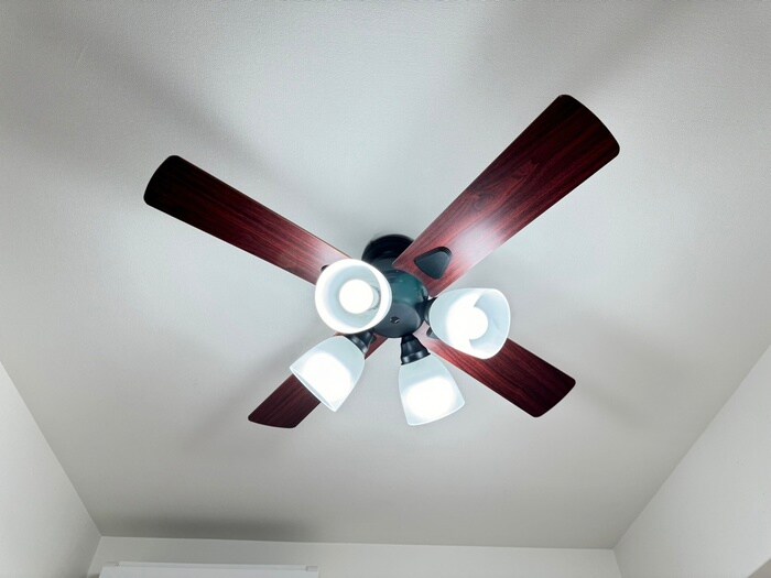 Luxe田辺の物件内観写真