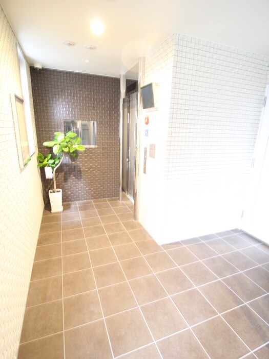 ルミネソレイユⅡの物件外観写真