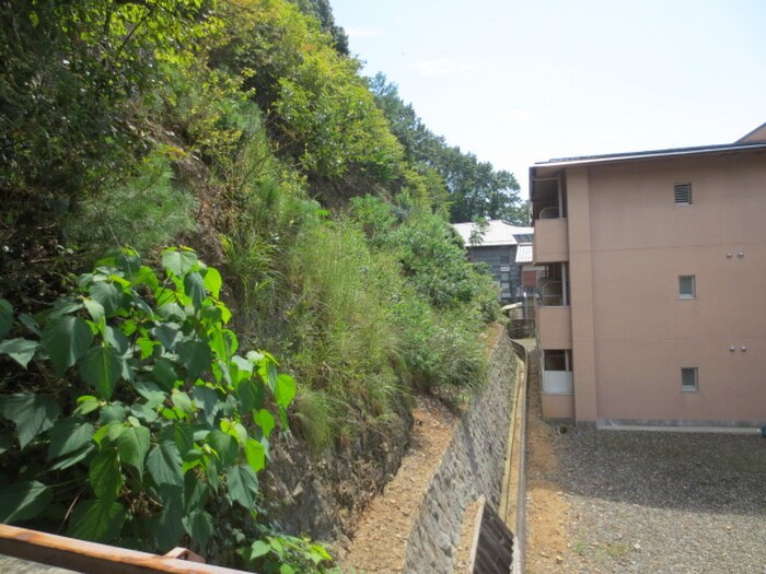 メゾンジョアＰａｒｔⅡの物件内観写真