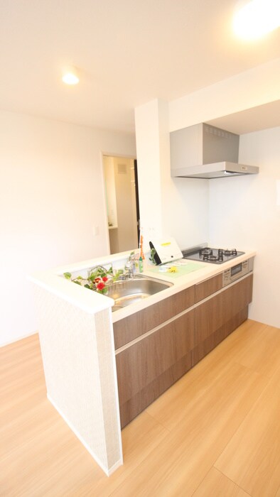 レスペランス向陽台の物件内観写真