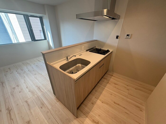 レイシスレジデンスの物件内観写真