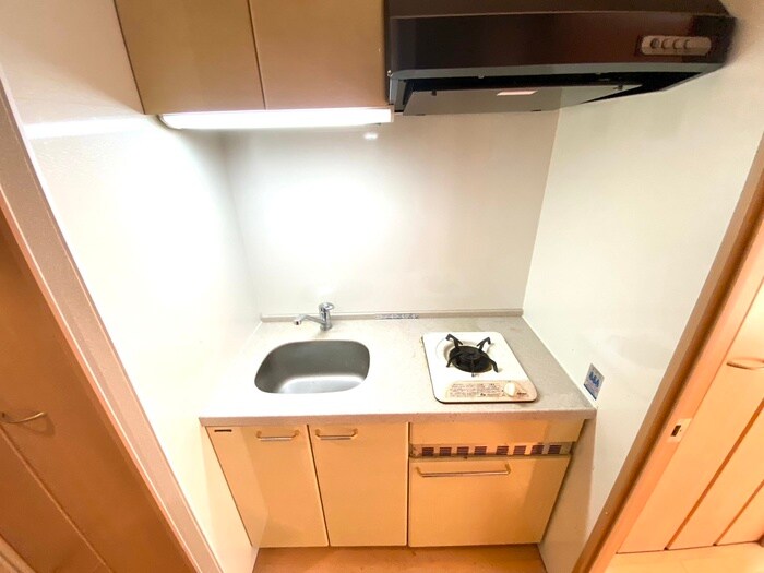 プレサンス京大東（５０８）の物件内観写真