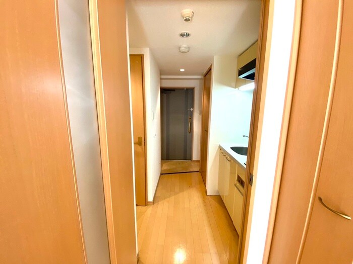 プレサンス京大東（５０８）の物件内観写真
