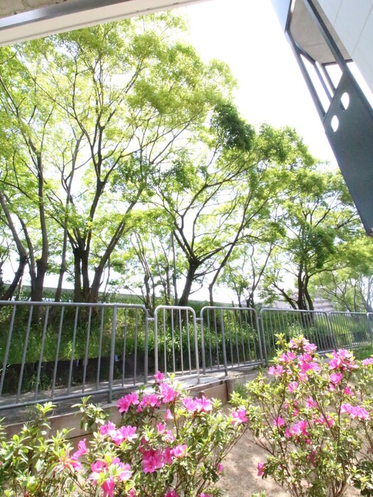 江坂テネラの物件内観写真