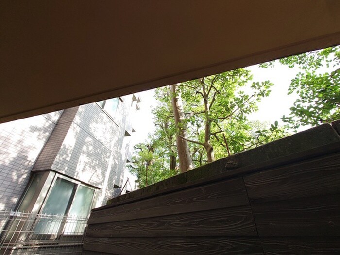 カームネス祇園南の物件内観写真