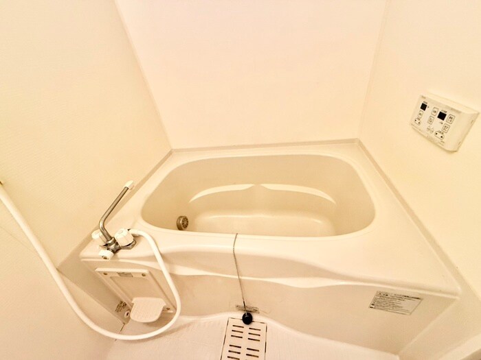 ゼフィランサスの物件内観写真