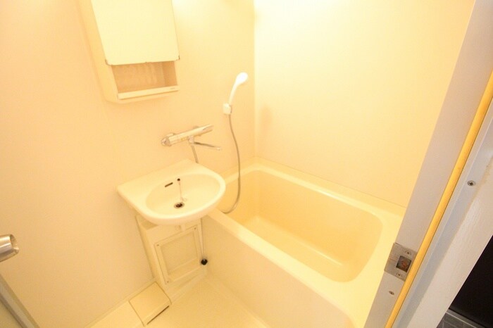 シダ　ヴィレッジの物件内観写真