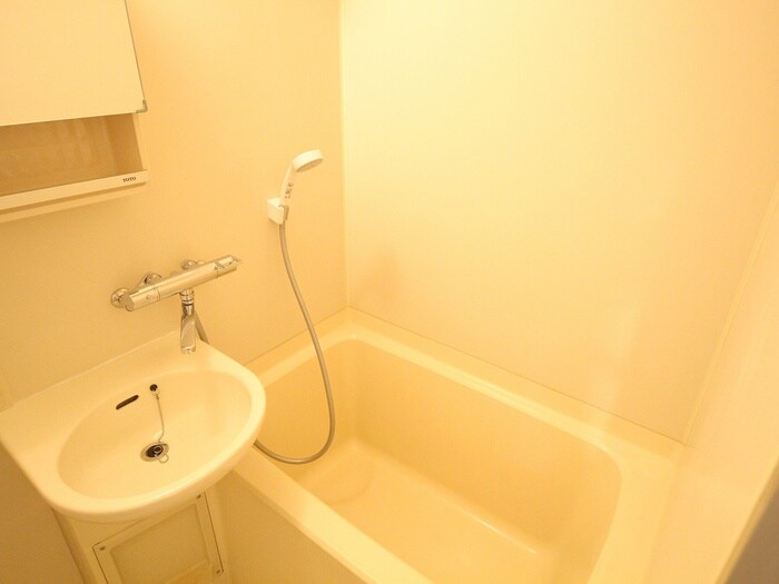 シダ　ヴィレッジの物件内観写真