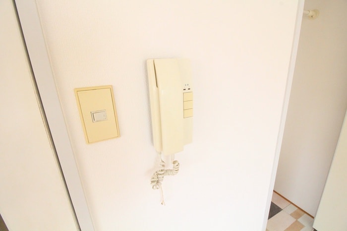 シダ　ヴィレッジの物件内観写真