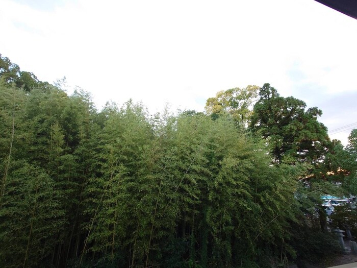 ウッディ　オアシスⅡの物件内観写真