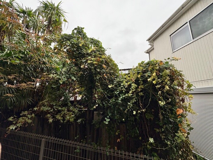 フェスタ大仙の物件内観写真