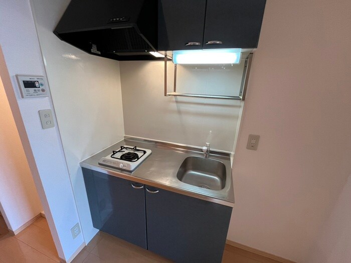 ヴェルドミールⅠの物件内観写真