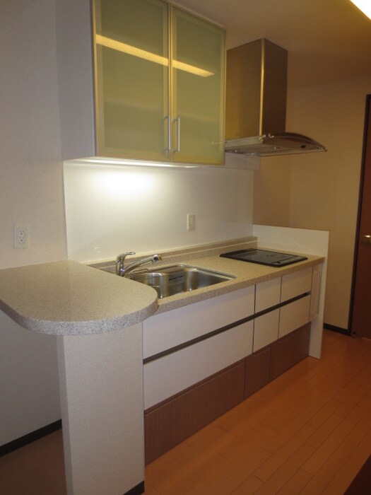 マスタ－ズ・レジデンス道頓堀Ⅱの物件内観写真