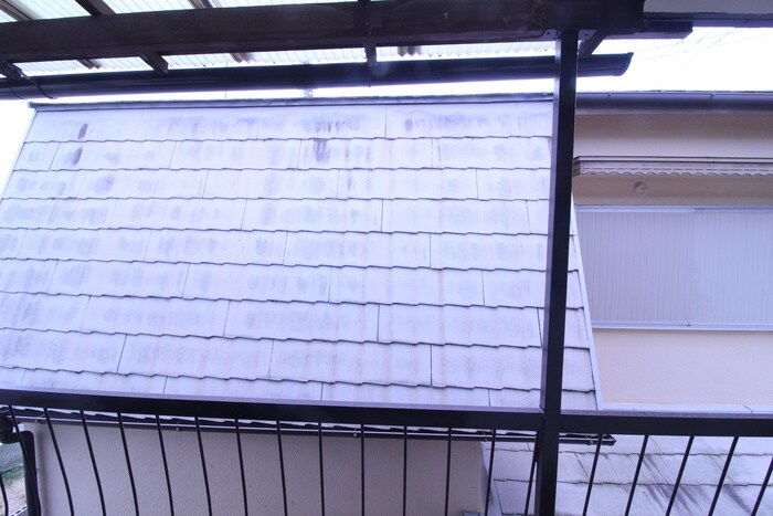 東香里元町貸家の物件内観写真