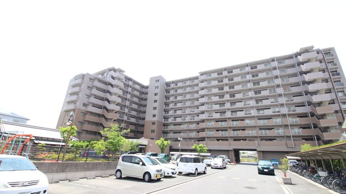 ﾗｲｵﾝｽﾞﾏﾝｼｮﾝ貝塚モリス(710)の物件外観写真