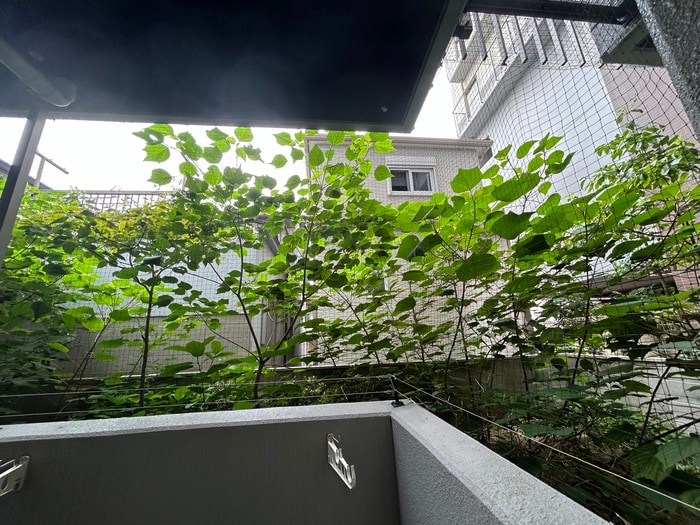 ディアコート宿屋町の物件内観写真