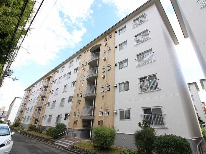 竹の台団地Ｃ２棟(505)の物件外観写真