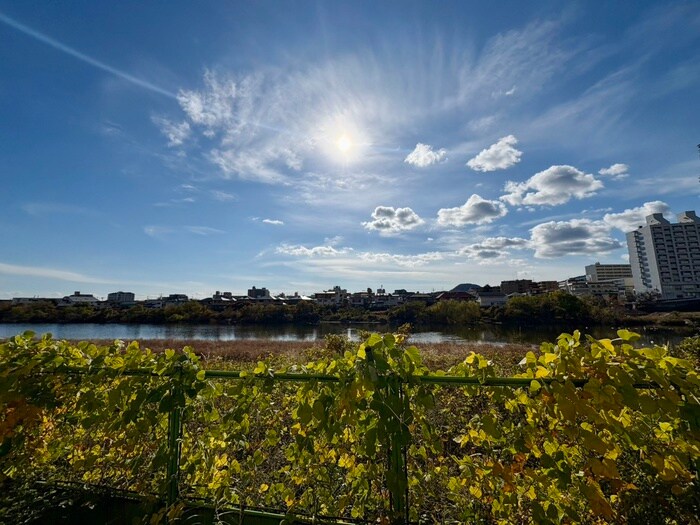 ガゼルノア宝塚武庫川の物件内観写真