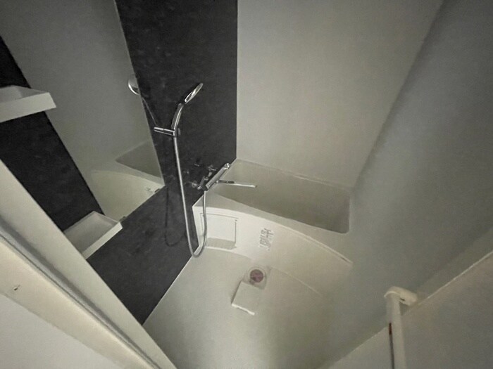 アドバンス神戸セラフィム(501)の物件内観写真