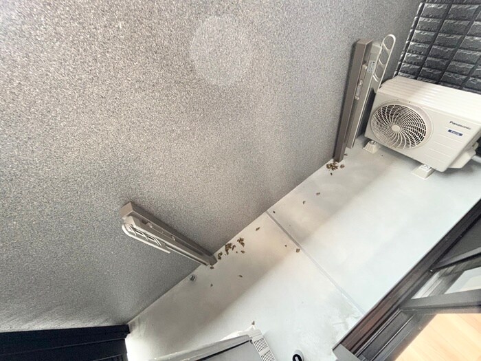 Ｇｒａｎａｔｅ西宮の物件内観写真