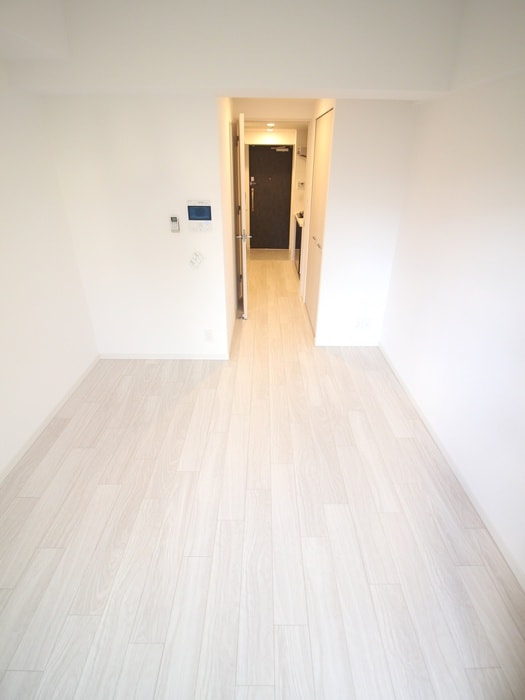 ライジングメゾン新大阪SOUTHの物件内観写真