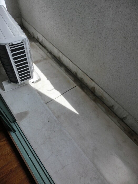 ジュネス堀川の物件内観写真