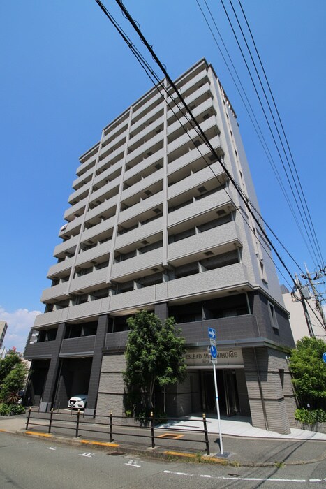 ｴｽﾘ-ﾄﾞ南堀江ﾘﾊﾞ-ｻｲﾄﾞ(1106)の物件外観写真